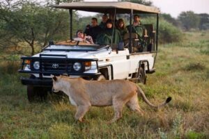Saadani National Park